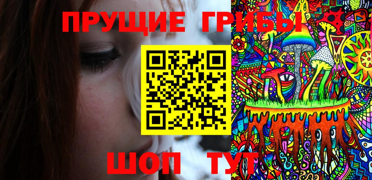 Лангепас  Галлюциногенные грибы Cubensis  Вход с VPN 